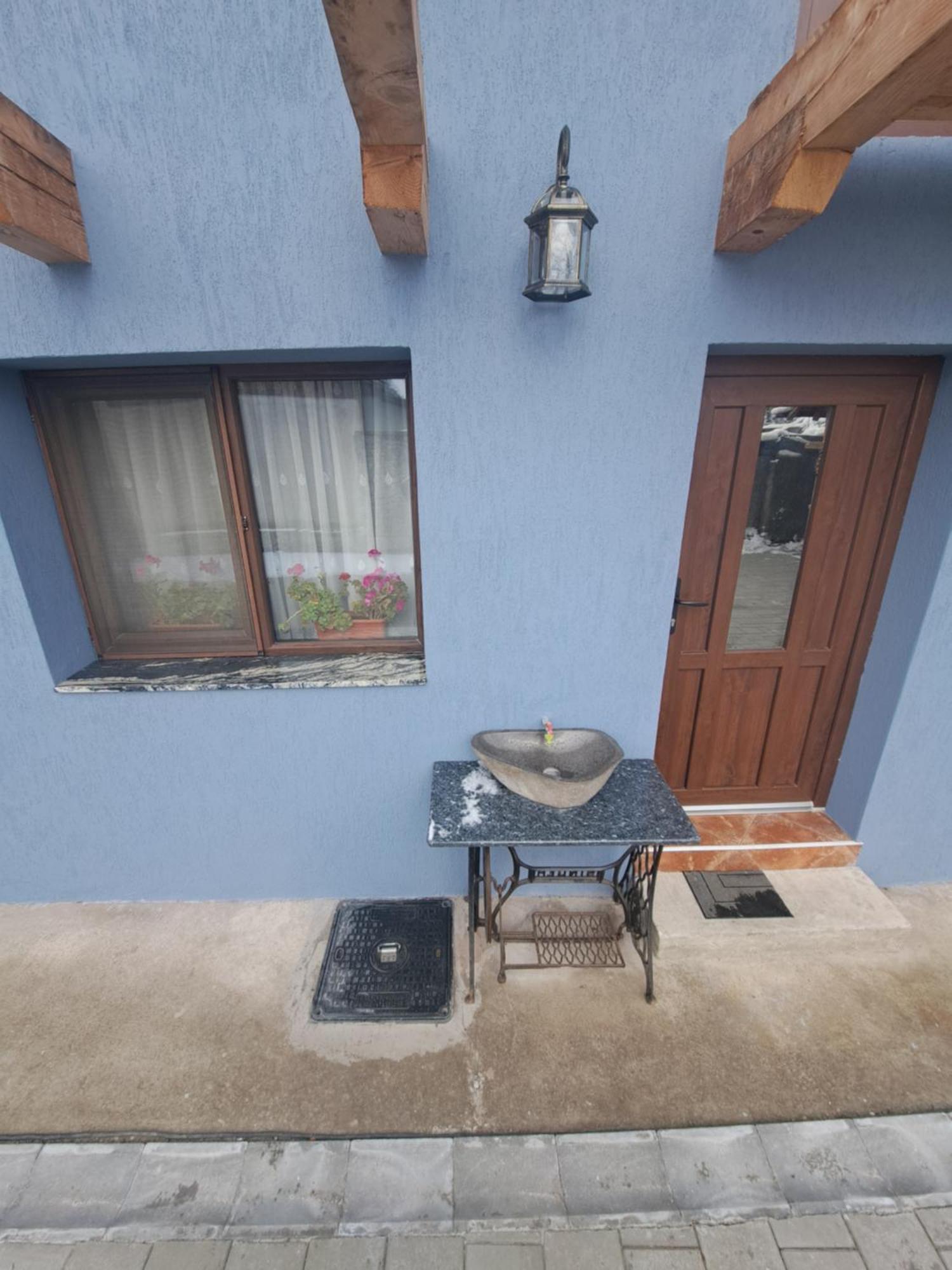 Casa Rustica Saceleana Villa Dış mekan fotoğraf