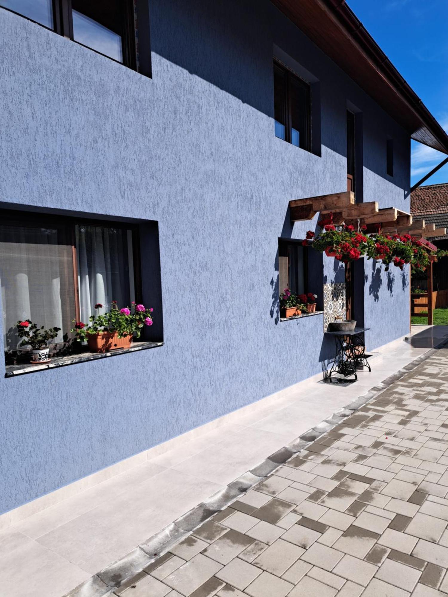 Casa Rustica Saceleana Villa Dış mekan fotoğraf