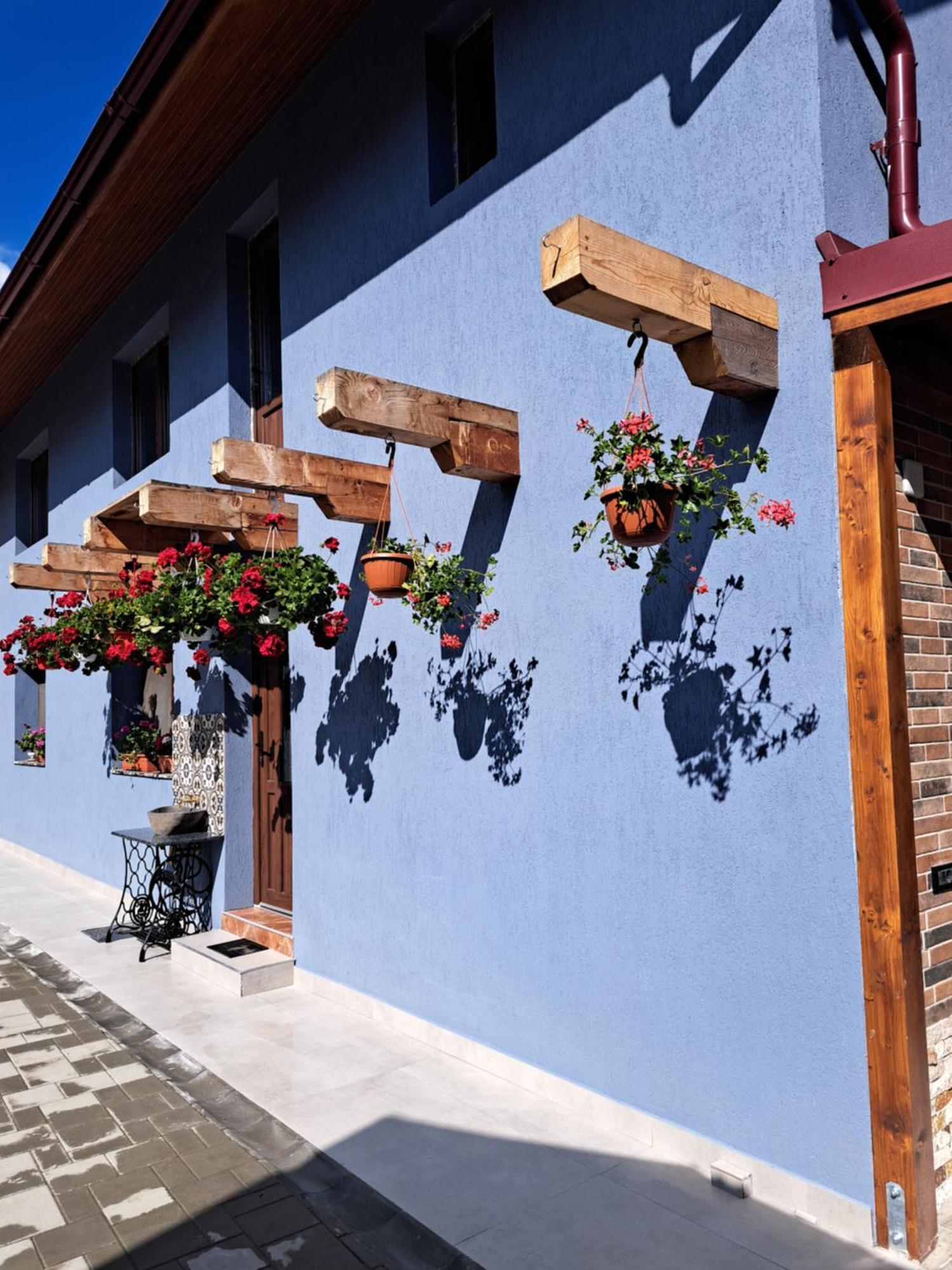 Casa Rustica Saceleana Villa Dış mekan fotoğraf